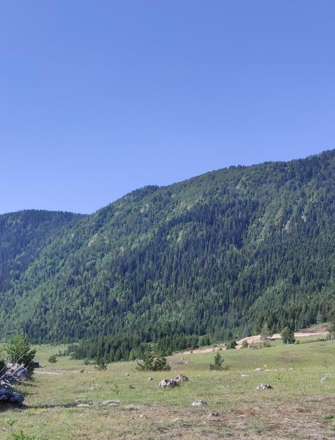 זבליאק Mountain Peace Cottage מראה חיצוני תמונה